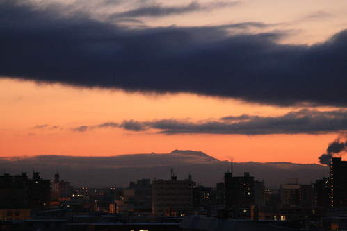 d0119909_20413919.jpg