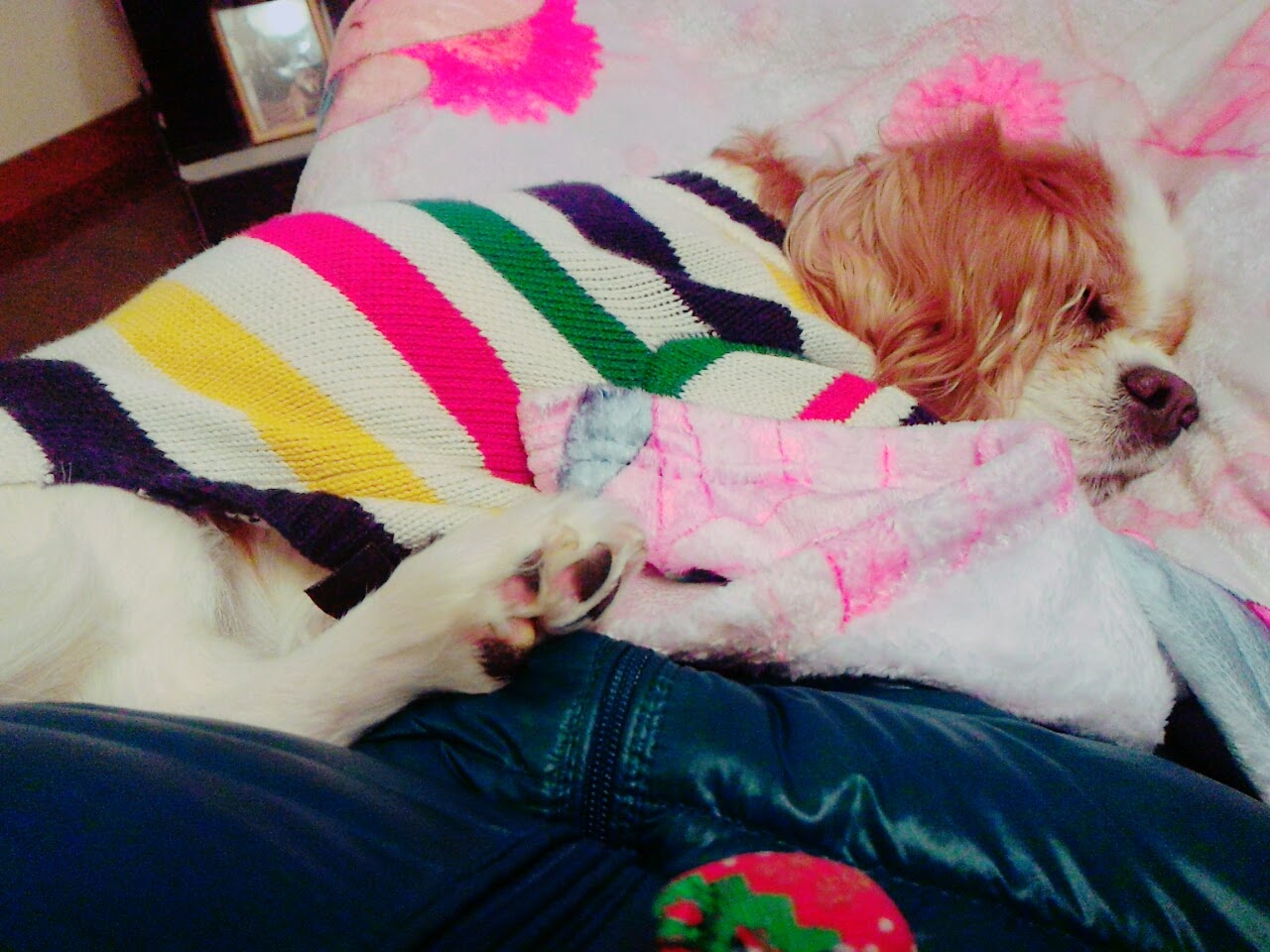 d0021510_15182247.jpg