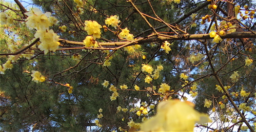 a0164011_21493520.jpg