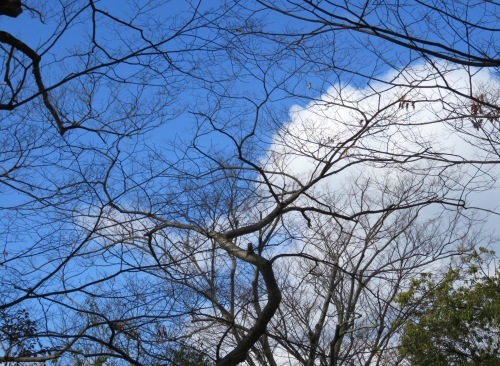 京都北野天満宮に行こうか？_b0344816_20595351.jpeg