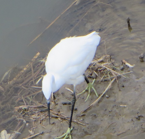 c0280322_22454599.jpg