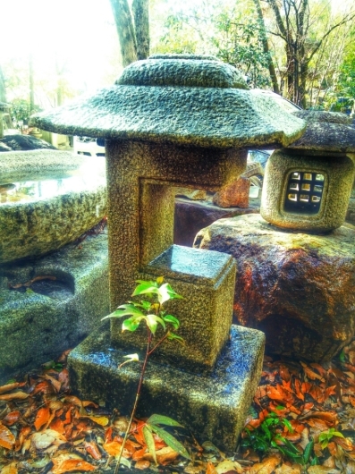 f0183722_14034019.jpg