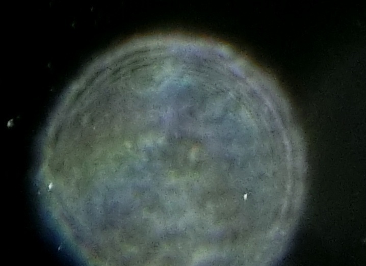 c0331825_12110716.jpg