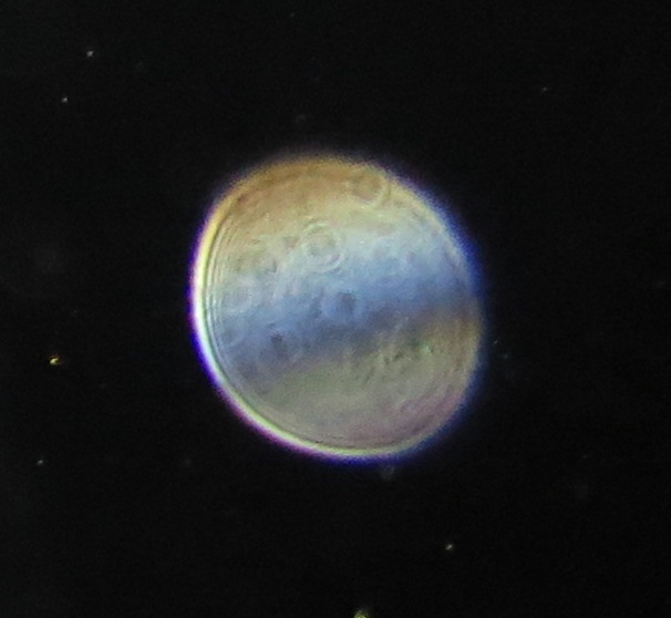 c0331825_12293768.jpg