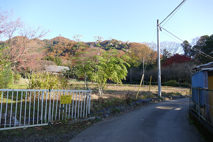 峰の薬師から城山湖を経て高尾山口駅に向かう　その３_c0196928_7262499.jpg