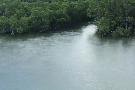 e0311229_2131251.jpg
