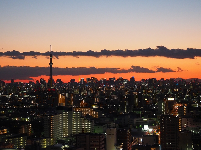 c0117831_171333.jpg