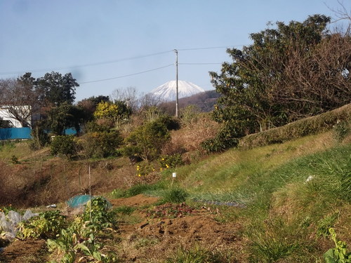 b0137932_17214791.jpg