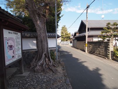 越前松平家発祥の地へ・後編_f0328134_22303789.jpg