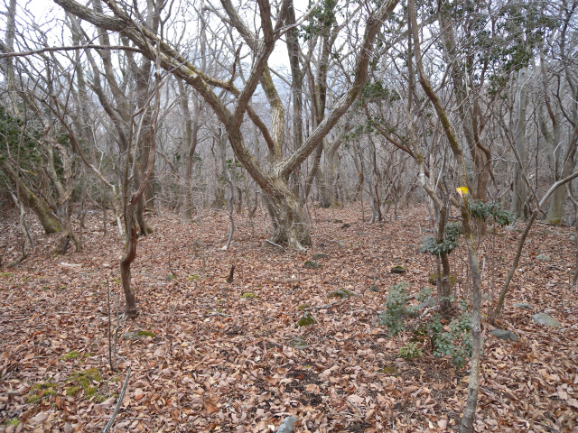 e0272335_5371980.jpg