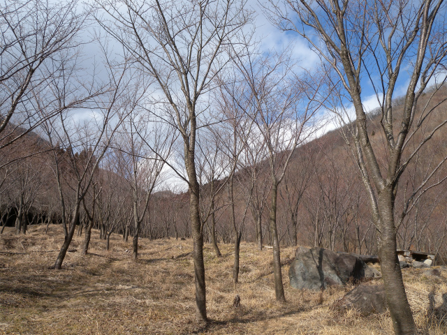 e0272335_5462720.jpg