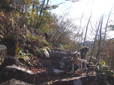 c0119142_1202250.jpg
