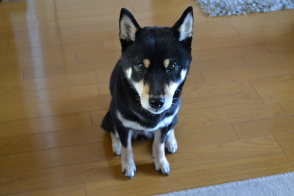 d0322445_15105959.jpg