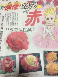 年末の掲載誌まとめ_d0082655_0311939.jpg