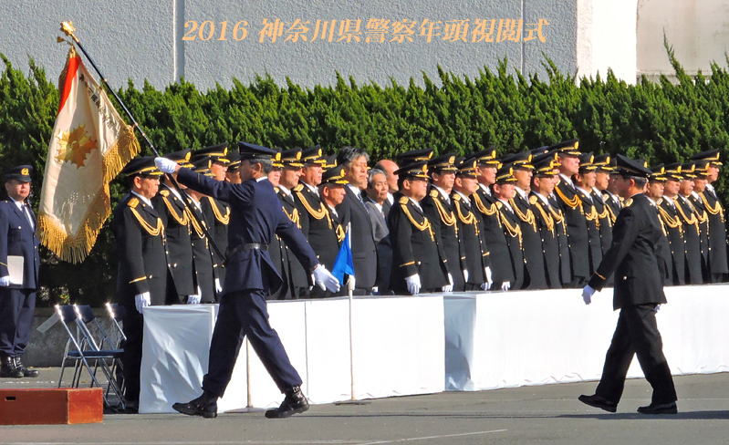 今年もワンコが‥ 『平成28年 神奈川県警察年頭視閲式』_d0251161_16242050.jpg