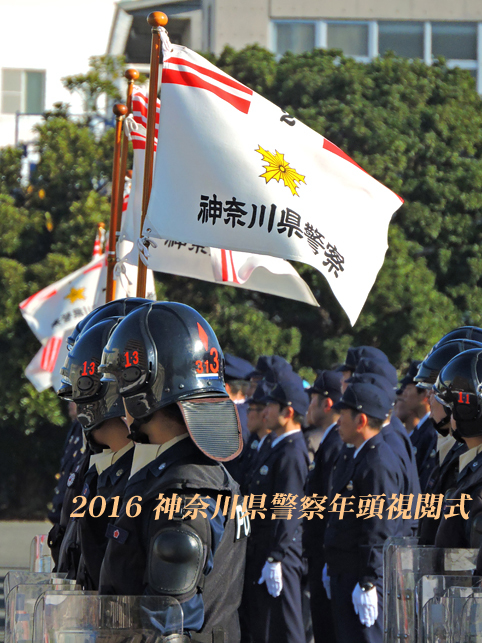 今年もワンコが‥ 『平成28年 神奈川県警察年頭視閲式』_d0251161_16280213.jpg