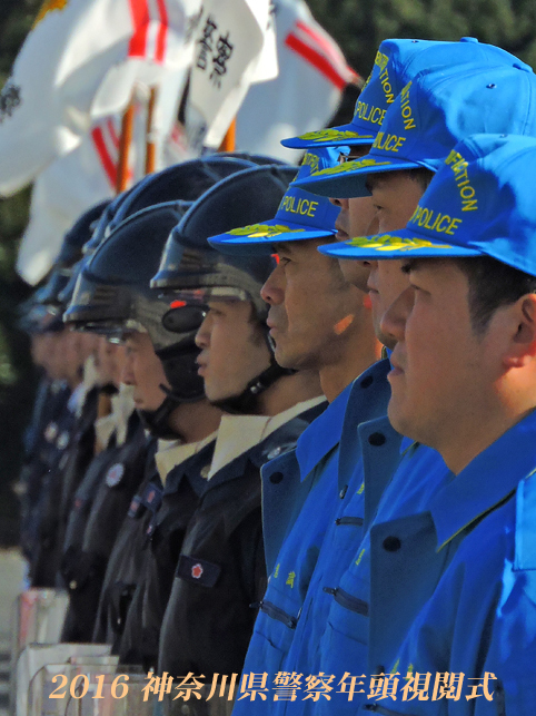 今年もワンコが‥ 『平成28年 神奈川県警察年頭視閲式』_d0251161_16282514.jpg