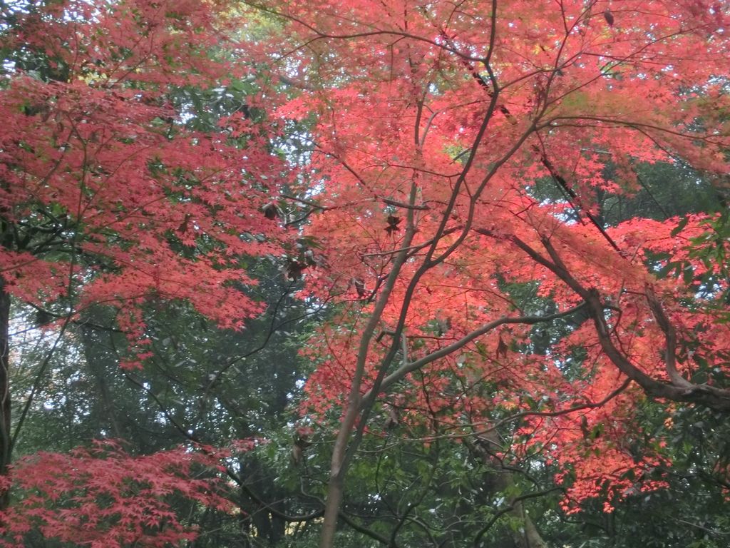 b0185573_1144127.jpg
