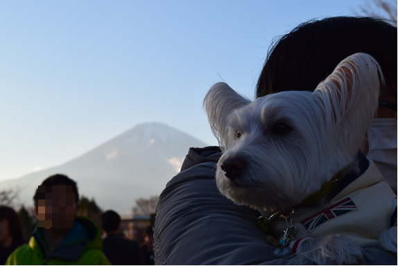 b0242873_16584706.png