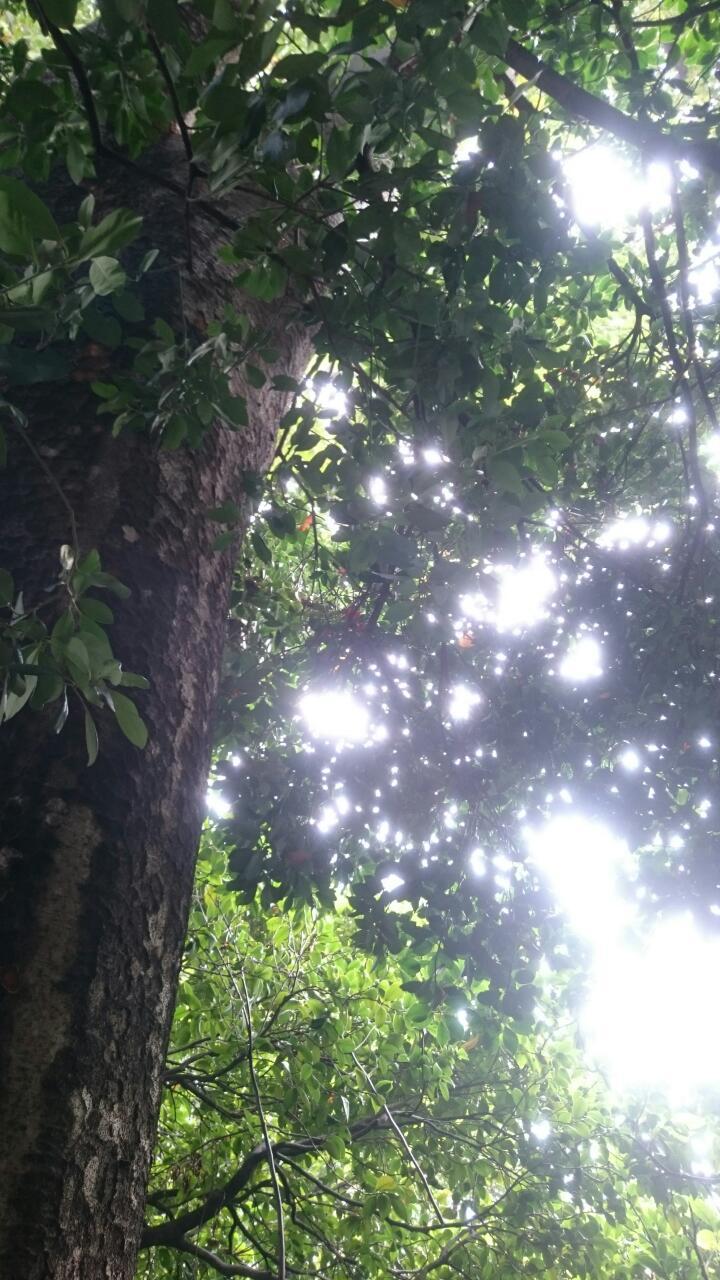 初めまして☆_a0349374_19463536.jpg