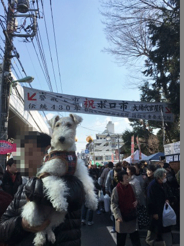 世田谷ボロ市_c0070377_2223161.gif