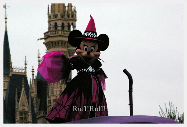 ◆ディズニー・ハロウィーン・パレード “レッツ・ゴー・ヴィランズ！”_d0040877_22474798.jpg