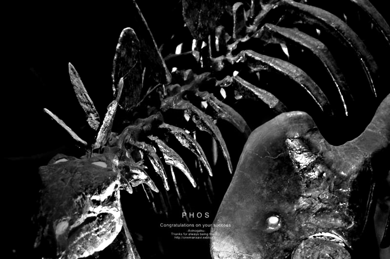 d0145990_13521930.png