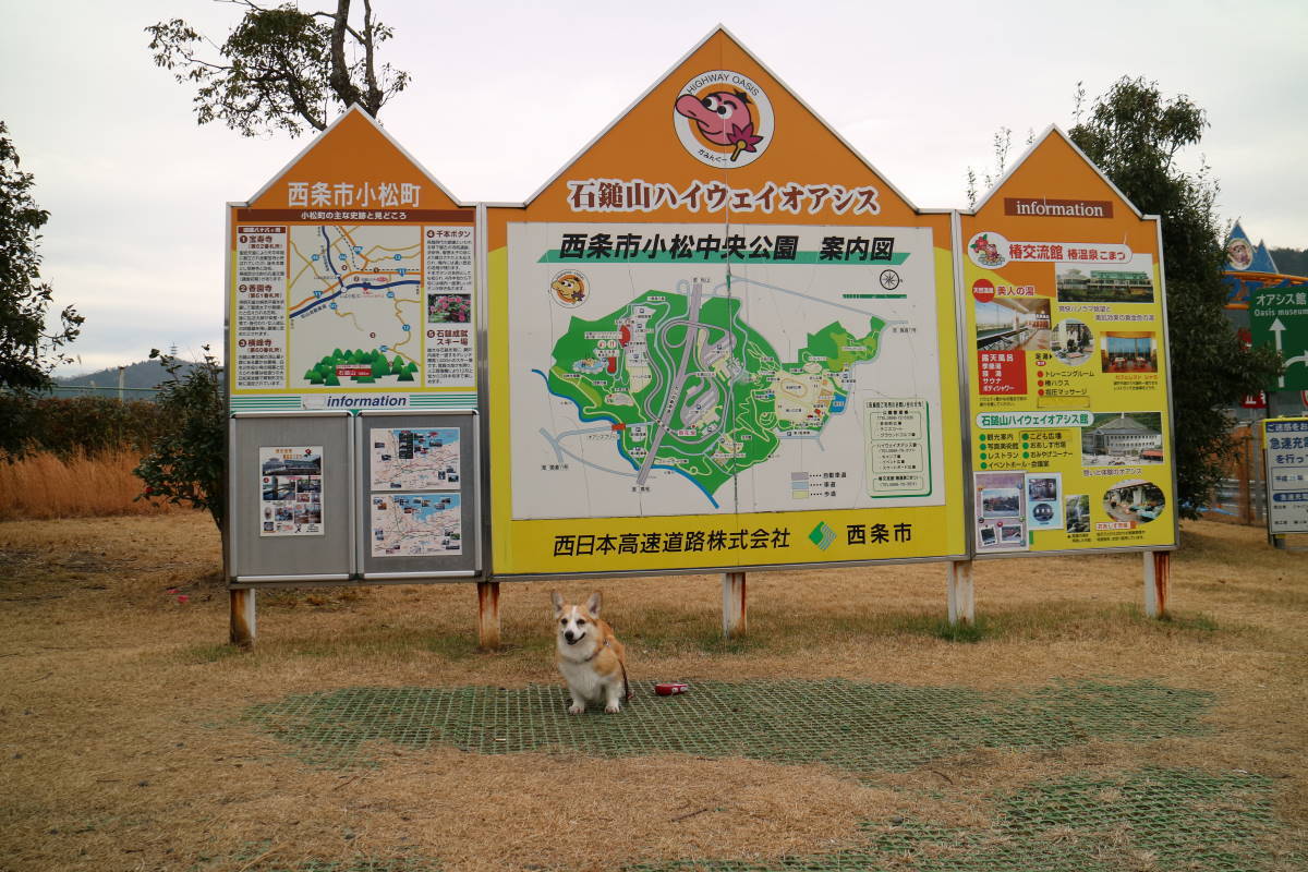 f0075595_00281910.jpg