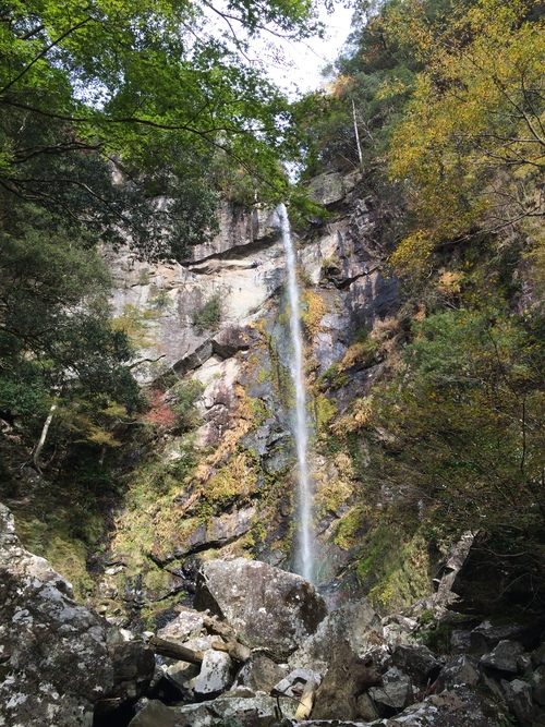 d0118097_2285578.jpg