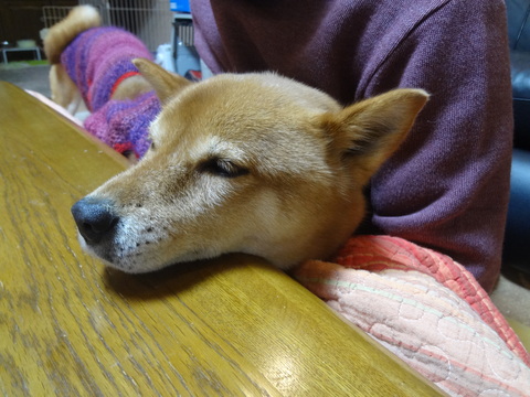 e0292102_8393733.jpg