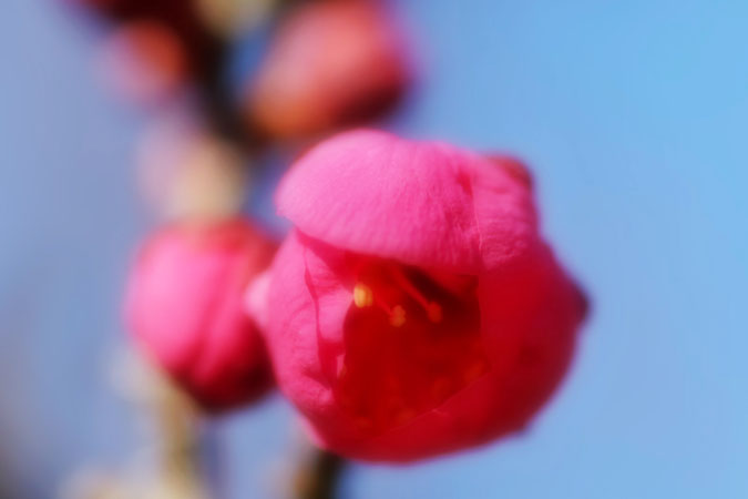 a0263109_15325183.jpg