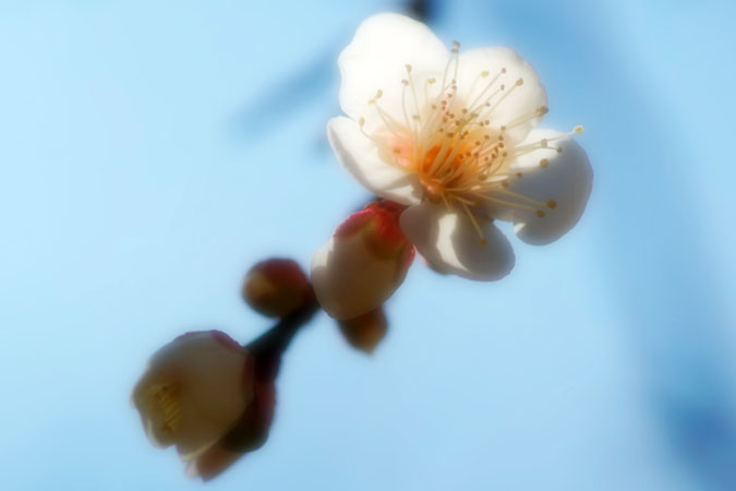 a0263109_1534451.jpg