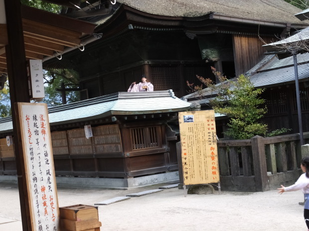 緊急告知_b0114209_11113344.jpg