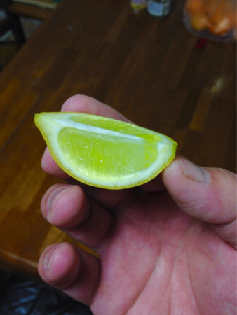 a0300410_17362813.jpg