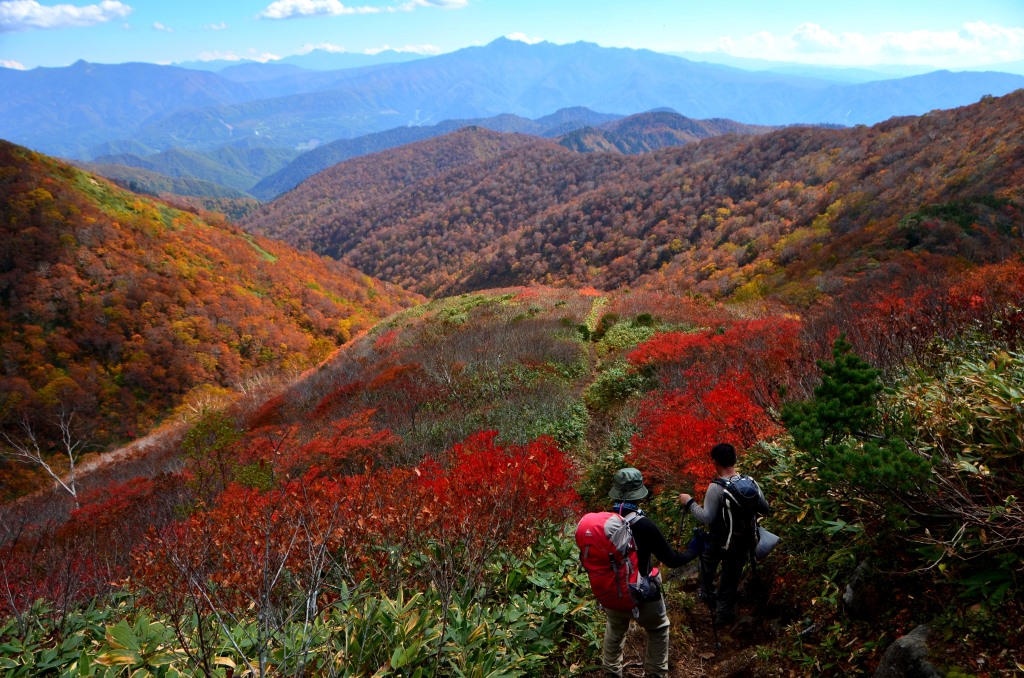 2015年　お気に入り写真_a0340812_9294735.jpg