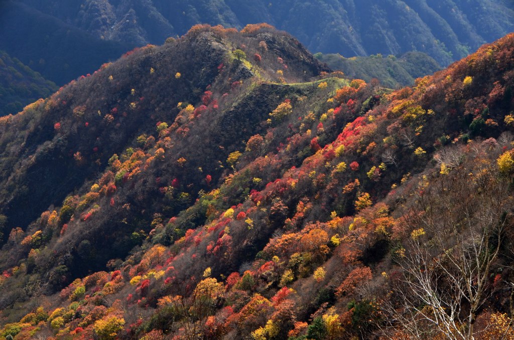 2015年　お気に入り写真_a0340812_9302138.jpg