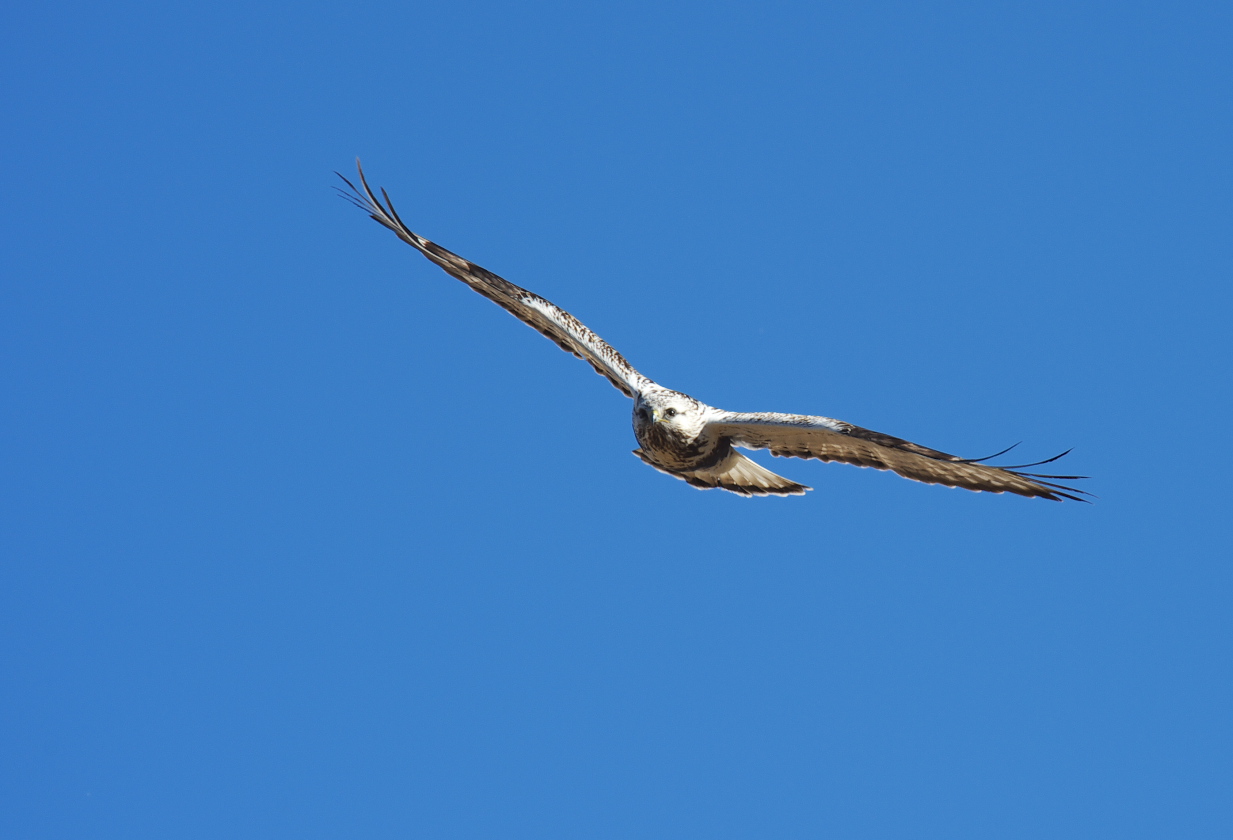 f0288418_12141497.jpg