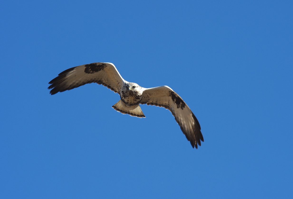f0288418_12142119.jpg