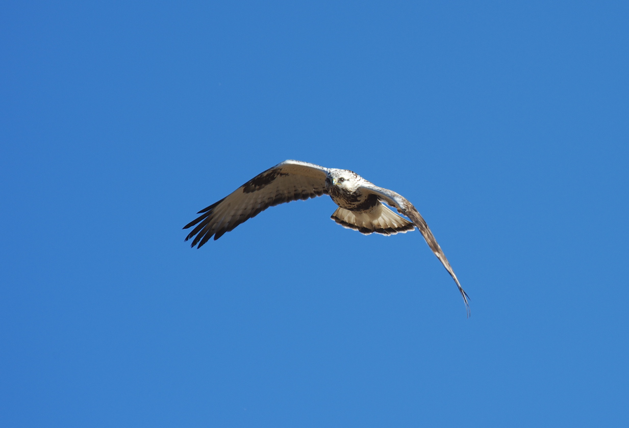 f0288418_1214611.jpg