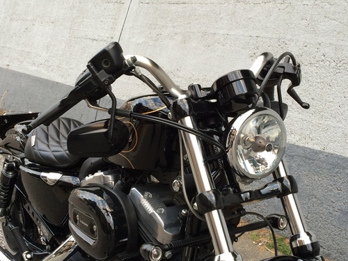 XL1200X Forty Eight_b0160319_17145448.jpg