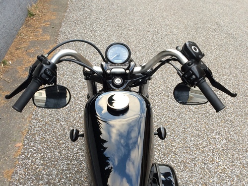 XL1200X Forty Eight_b0160319_1715290.jpg