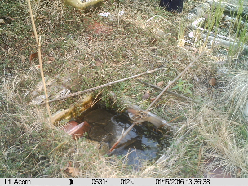 e0189021_16145551.jpg