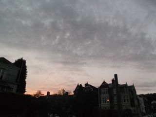 e0074833_163068.jpg