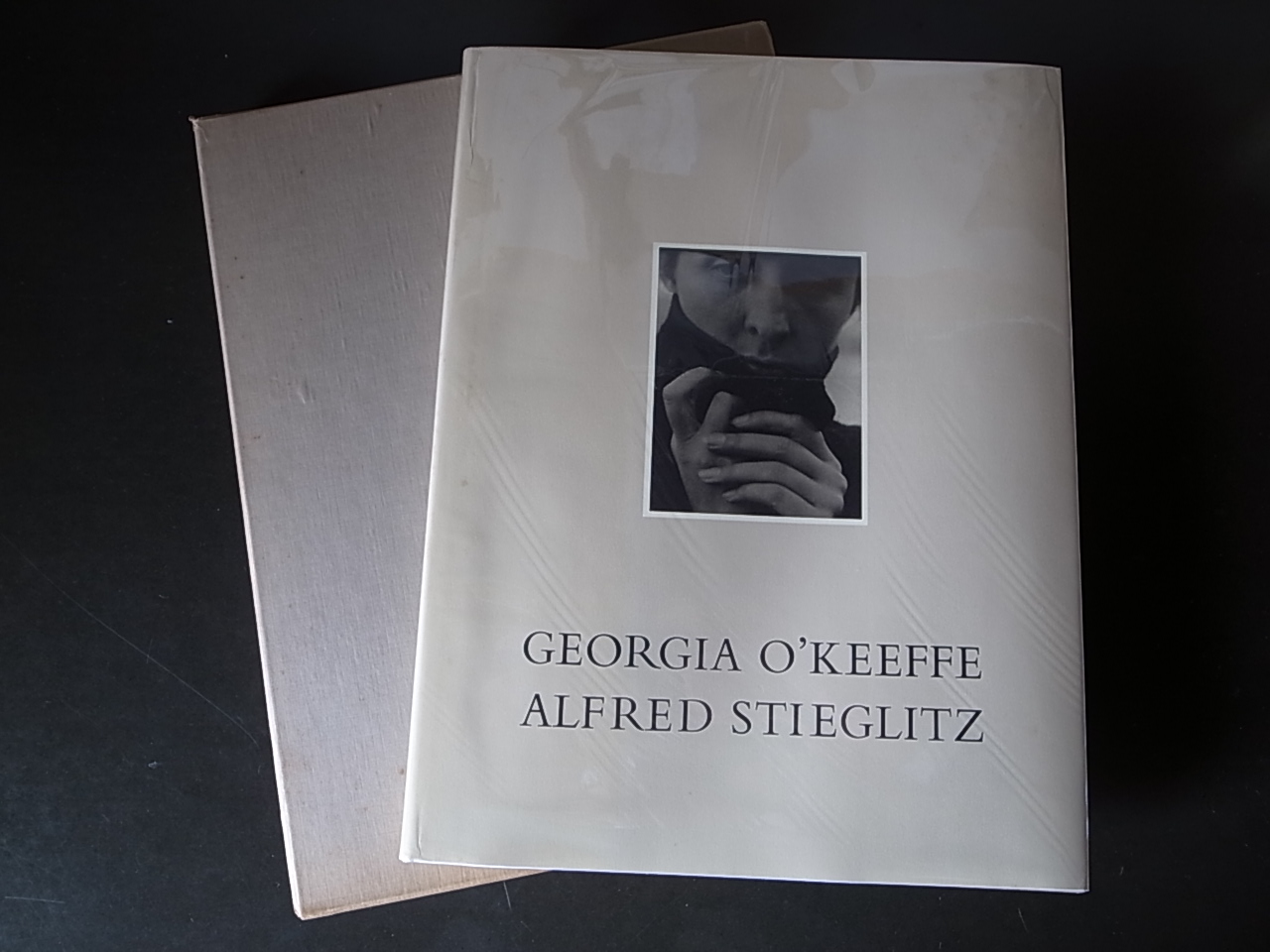 GEORGIA O\'KEEFFE A PORTRAIT BY ALFRED STIEGLITZ / Georgia O\'Keeffe (Introduction)_a0227034_1364593.jpg