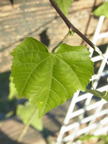 f0206939_22315091.jpg