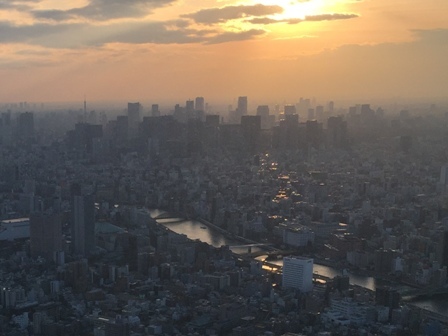 初めてのスカイツリー（２）1月の夕景_b0330040_10062603.jpg