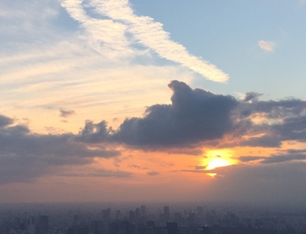 初めてのスカイツリー（２）1月の夕景_b0330040_10130552.jpg