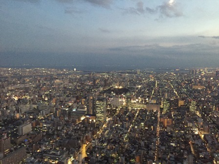 初めてのスカイツリー（２）1月の夕景_b0330040_10315492.jpg