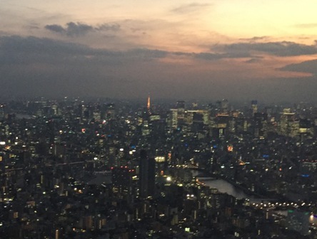 初めてのスカイツリー（２）1月の夕景_b0330040_10324511.jpg