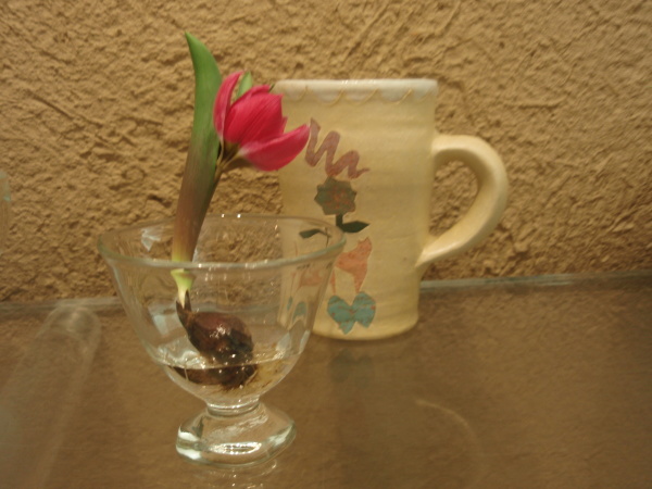 b0132442_18274100.jpg
